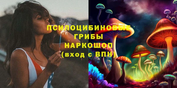 винт Арсеньев