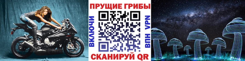Галлюциногенные грибы прущие грибы  Нарткала 